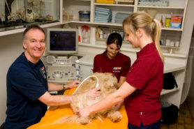 Behandlung in der Praxis